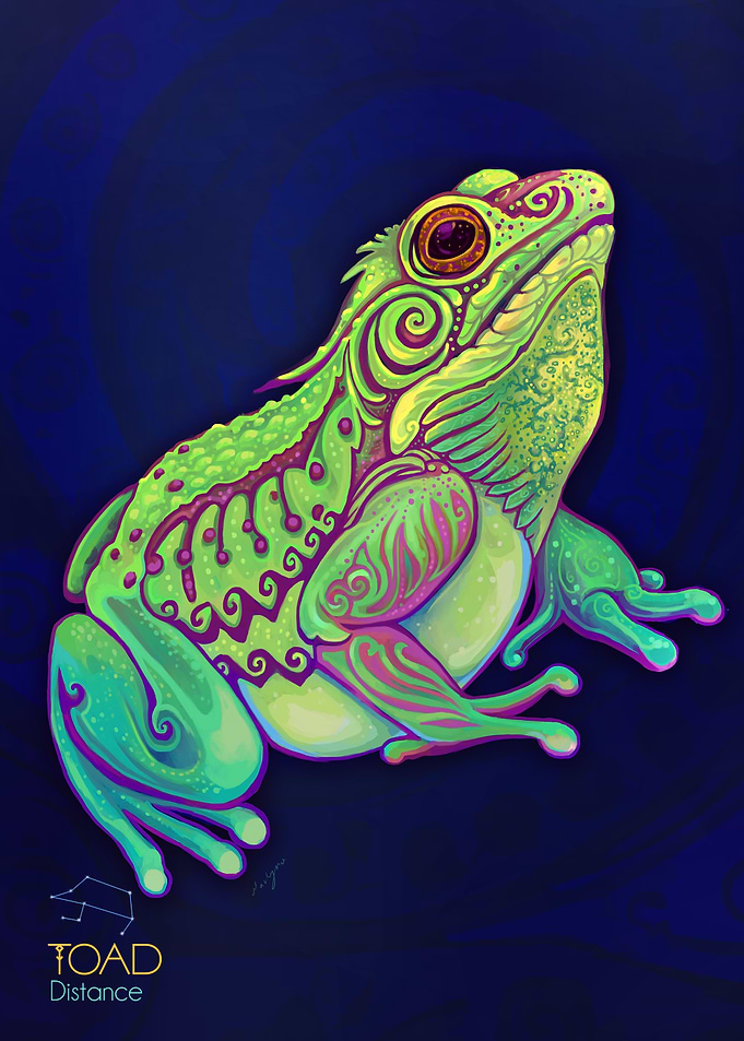 Toad Frog Spirit Animal