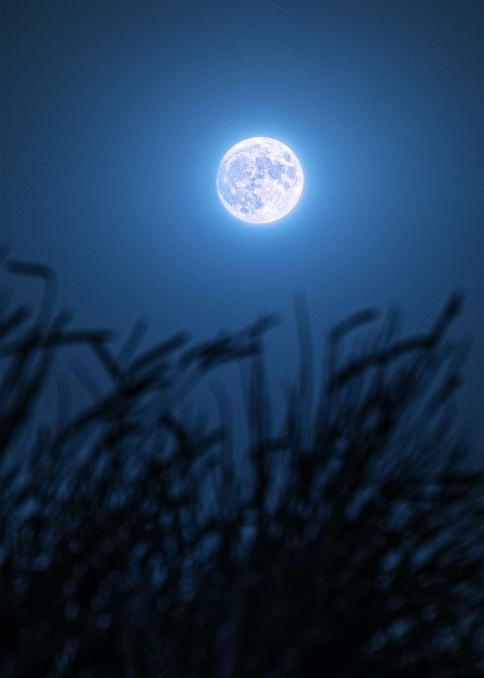 Wolf Moon
