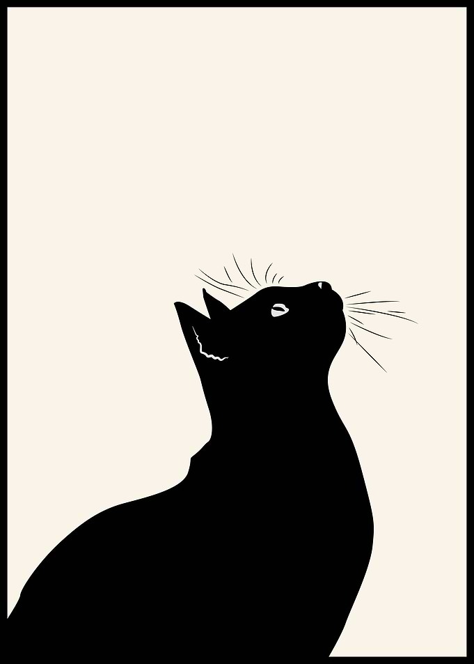 Cat Animals