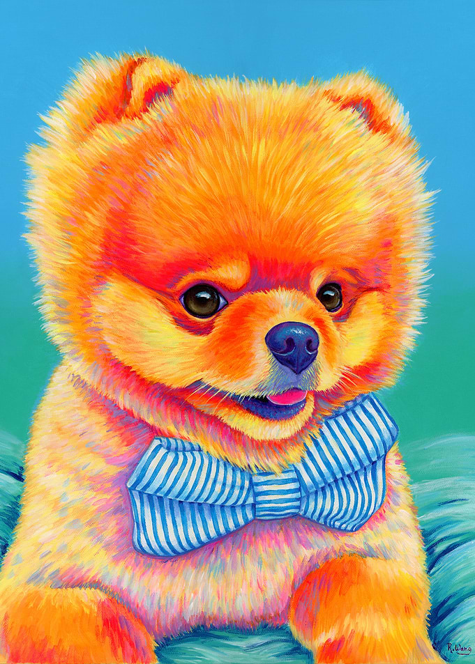 Cute Pomeranian
