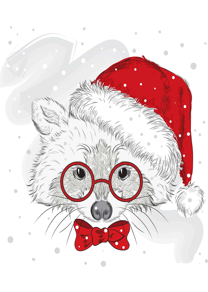 cute Santa Clause