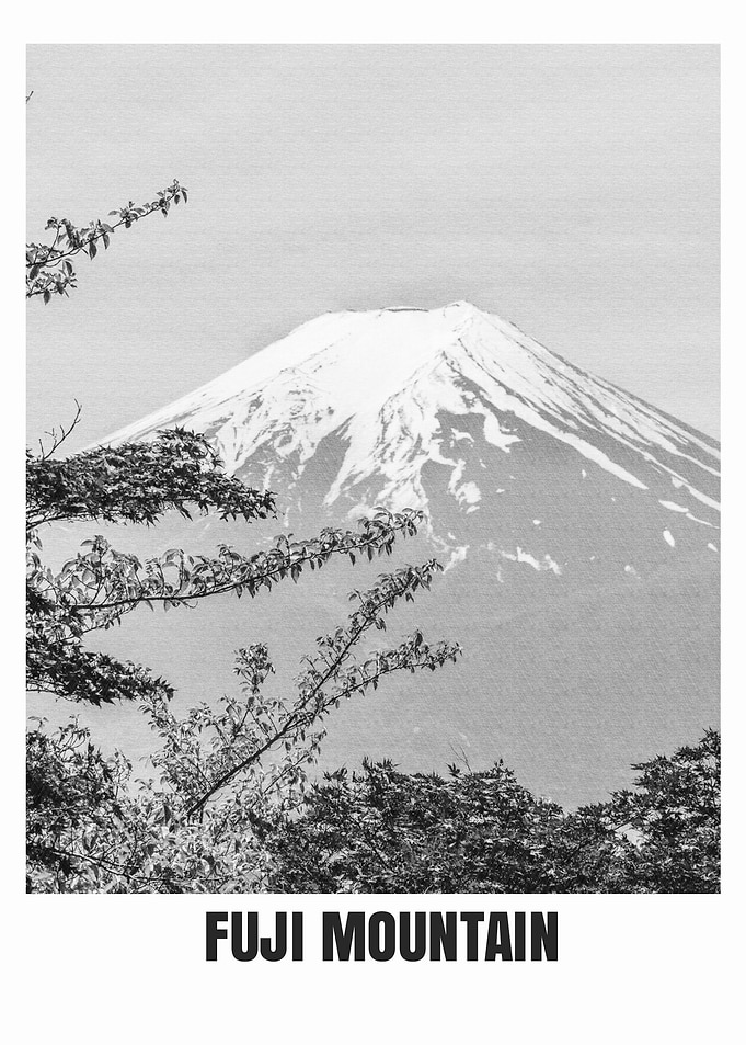 Fuji mountain