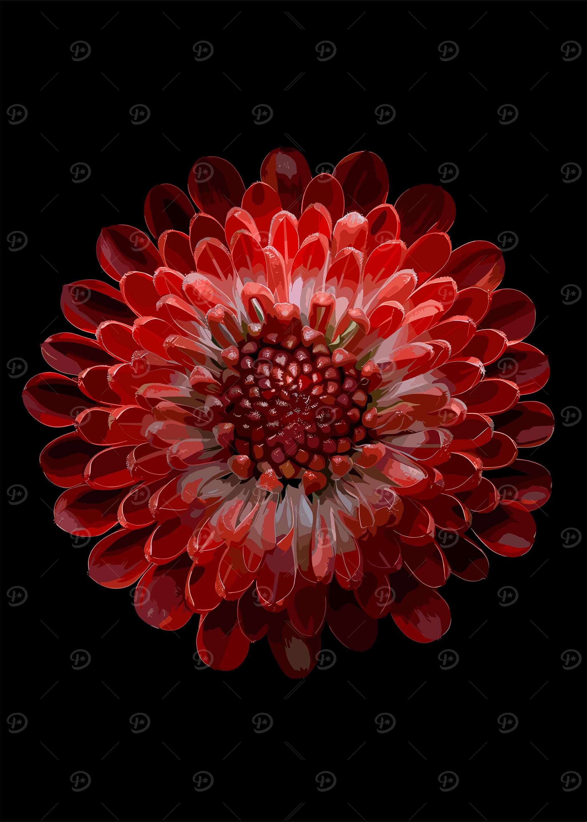 Red Sun Flowers