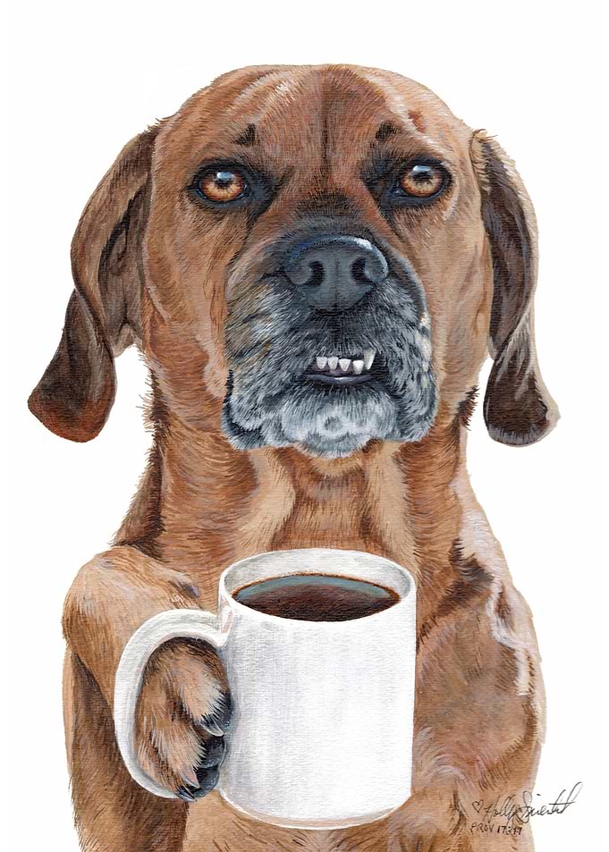 Coffee Dog