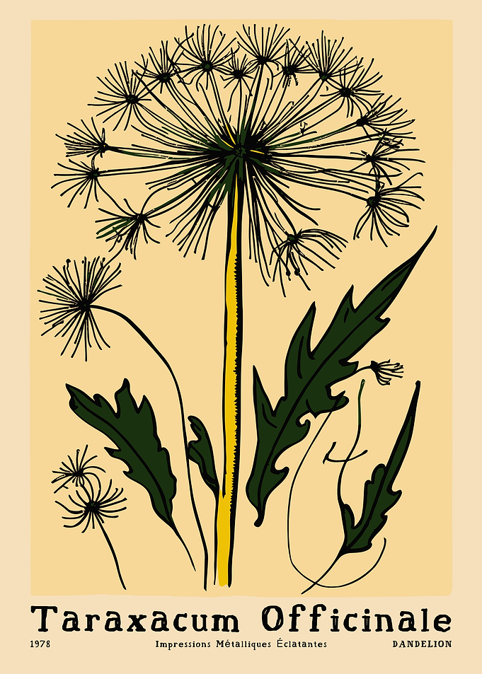 Dandelion Vintage Poster