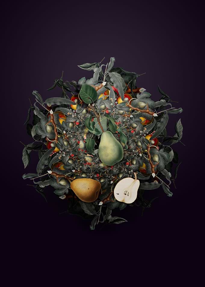 Winter Citron Wreath