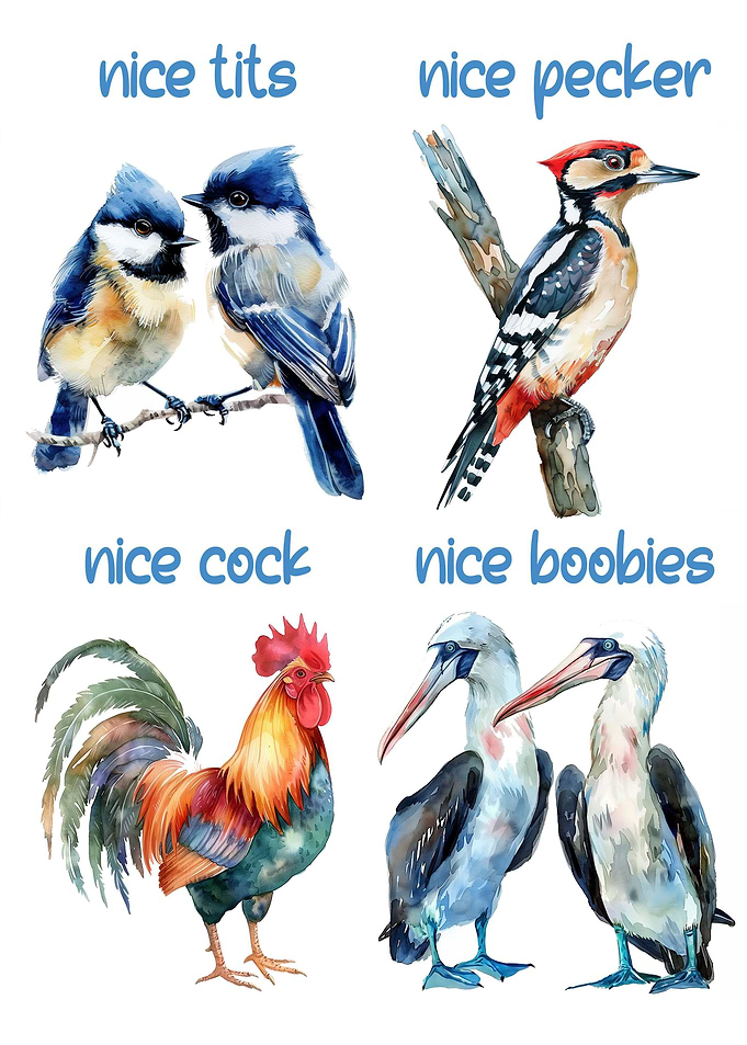 Funny Birds watercolor