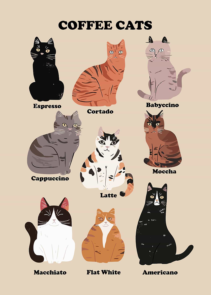 Coffee and Cats