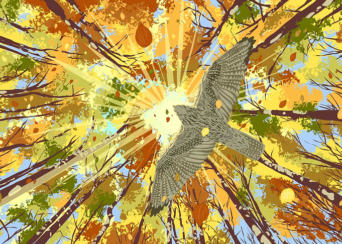 Bird in the forest