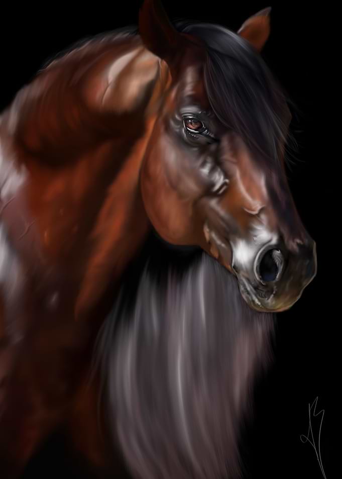 Horse