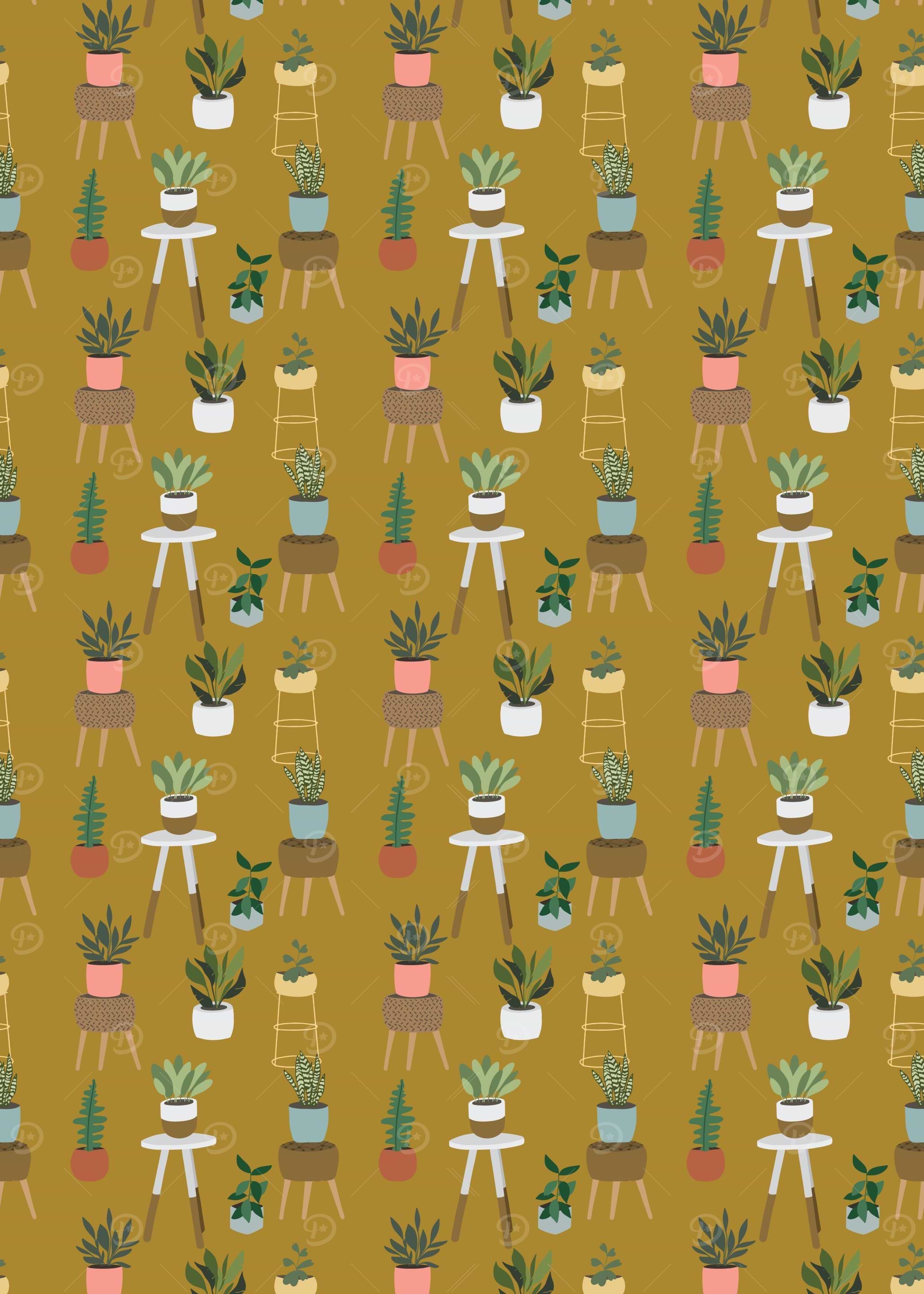 Home Potted Plants Yellow