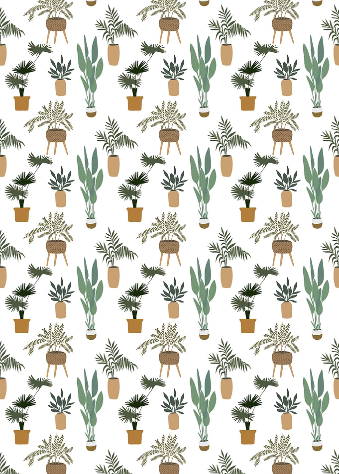 Home Potted Plant White
