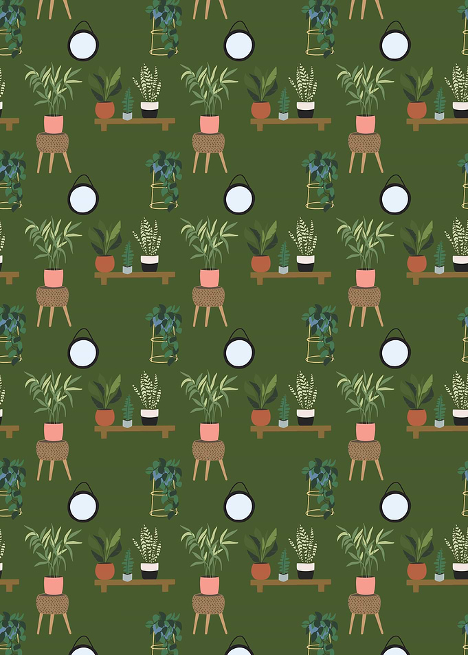 Home Potted Plants Green