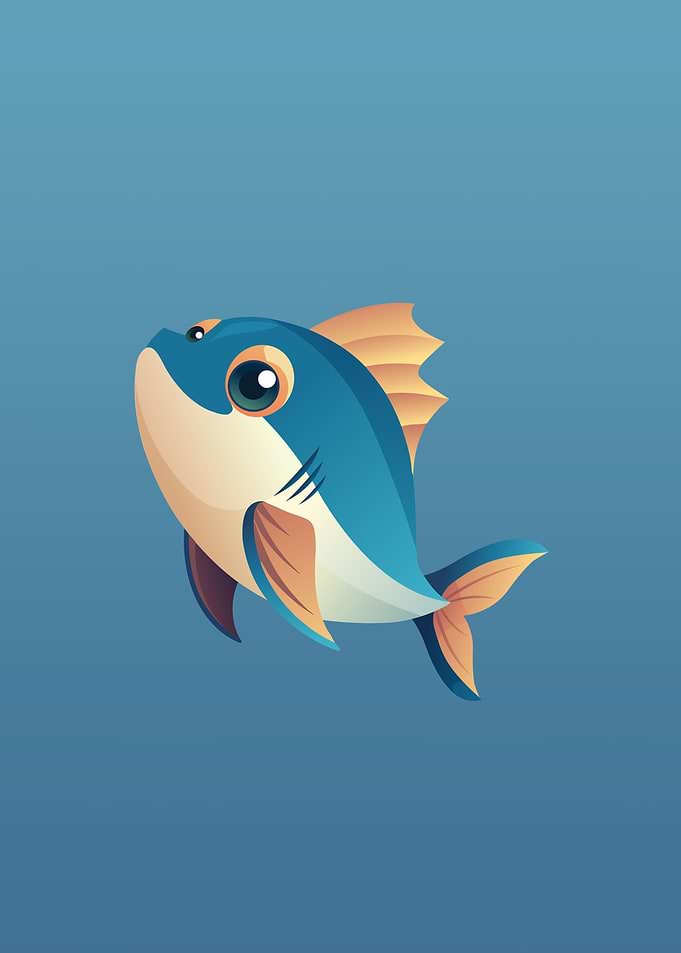 Fish Poster for Kids