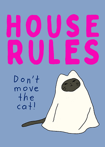 Cat Rules