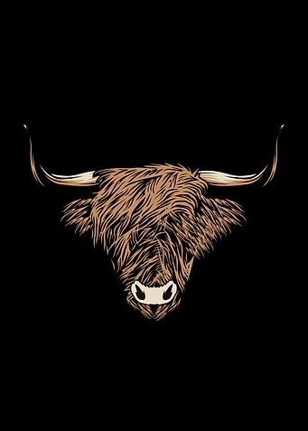 vintage bull meat