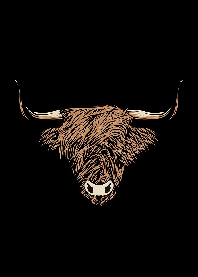 vintage bull meat