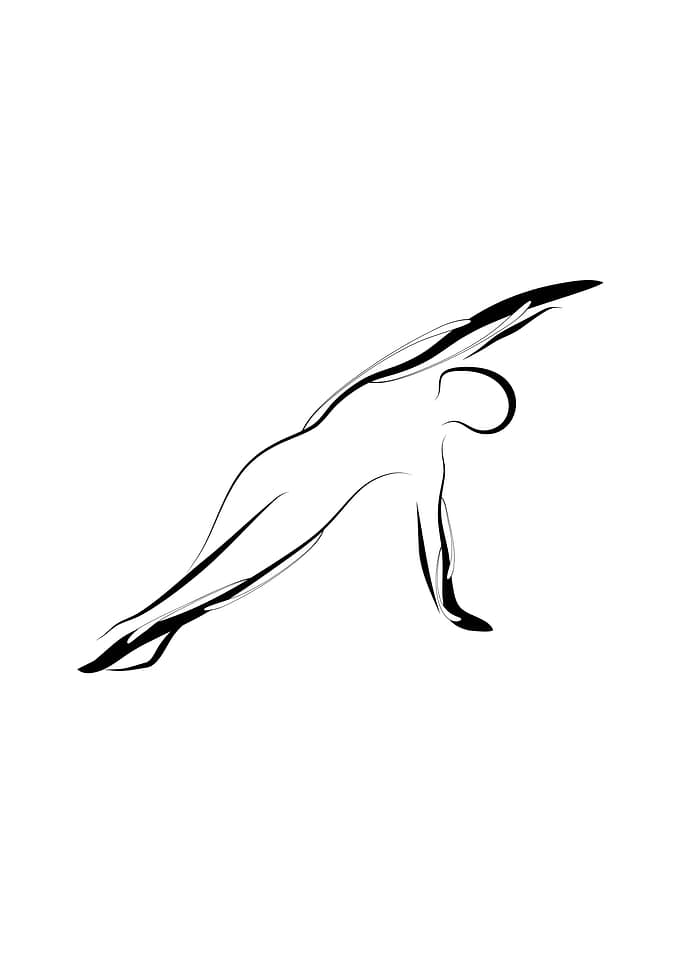 Pilates side bend pose