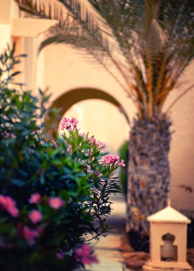 Architecture of Djerba