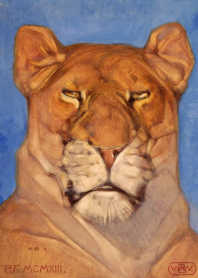 Head of a lioness