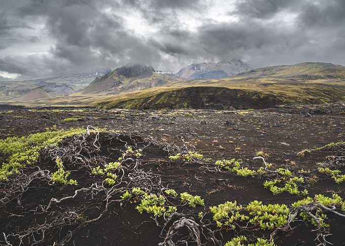 Icelandic plains