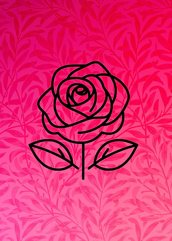 Rose Line Art
