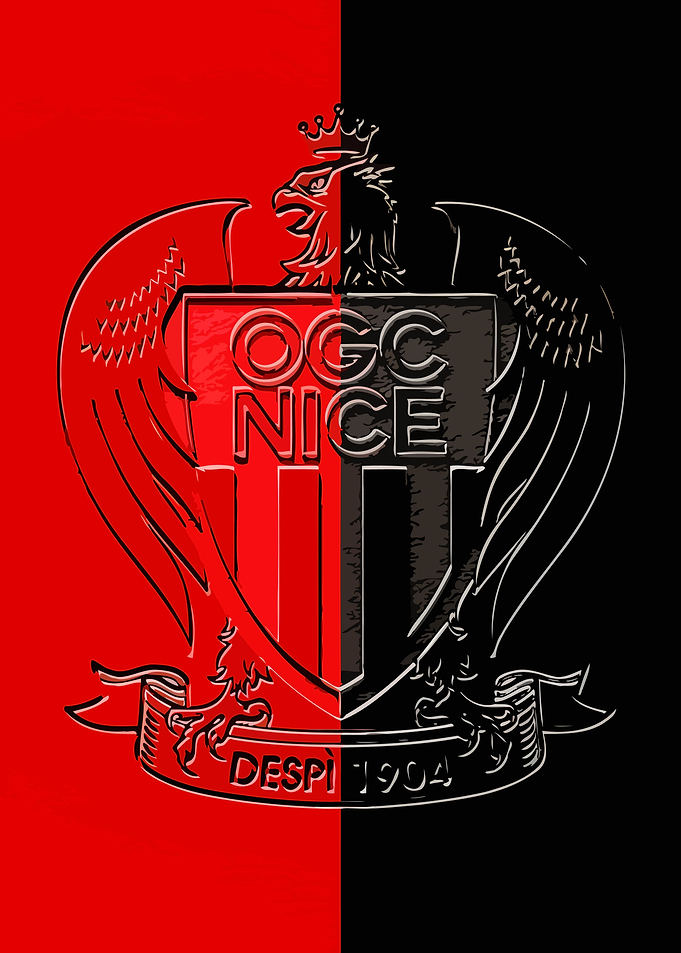 Nice Flag Logo