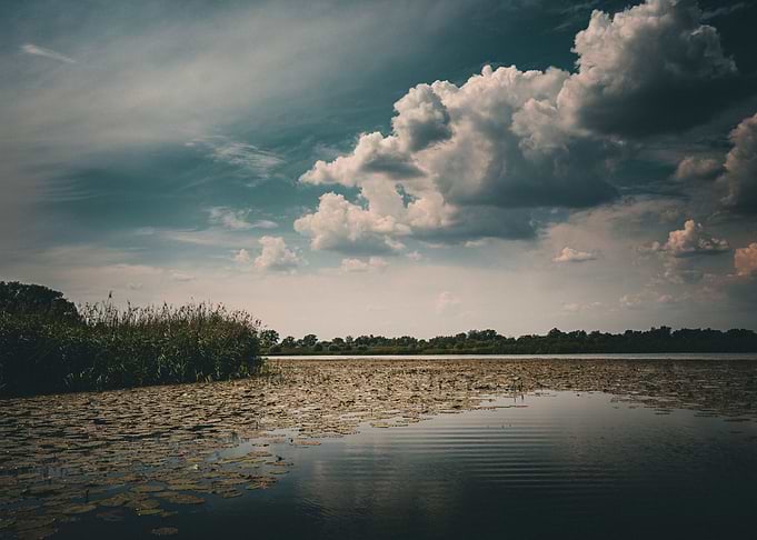 Lily Pond Under Clouds