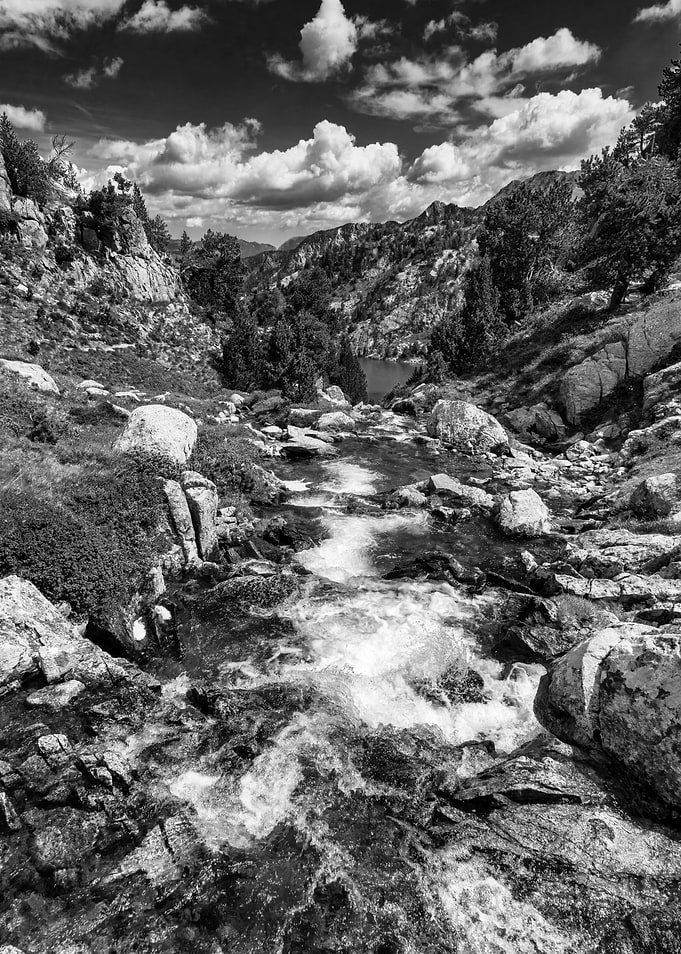 River landscape nature