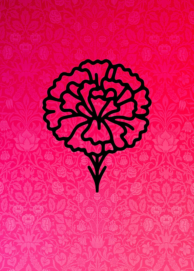 Carnation Line Art
