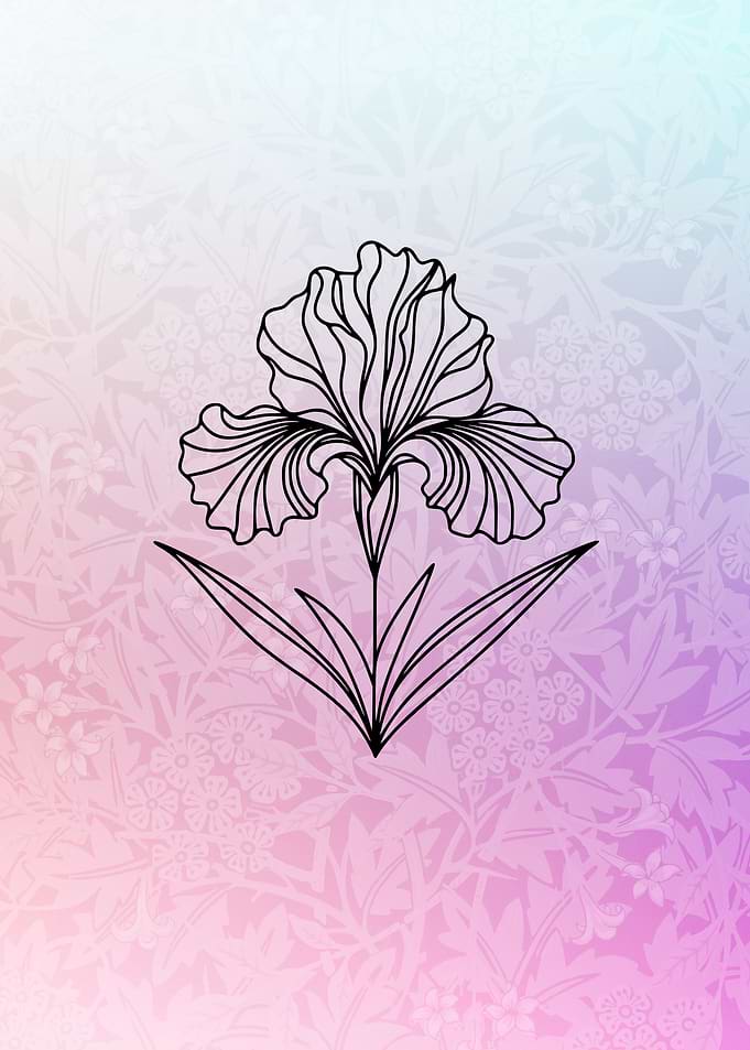 Iris Line Art
