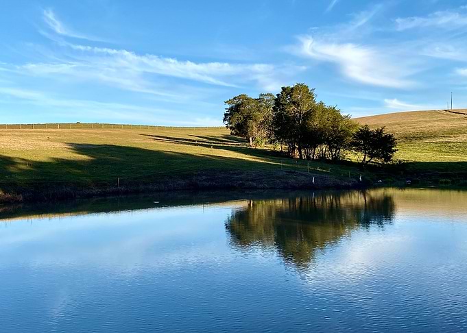 Landscape nature