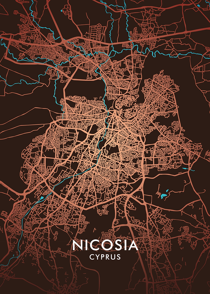 Nicosia City Map