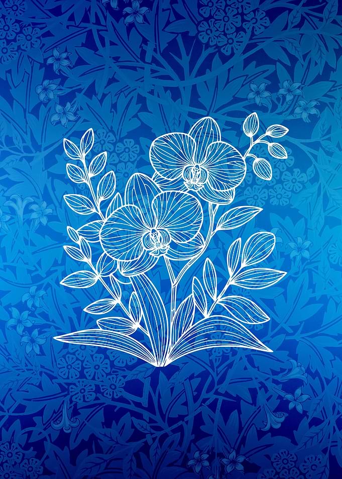 Blue White Orchid Line Art