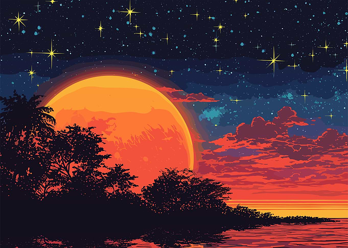 Sunset Nature