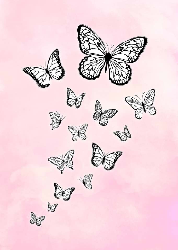 Happy Pink Butterflies