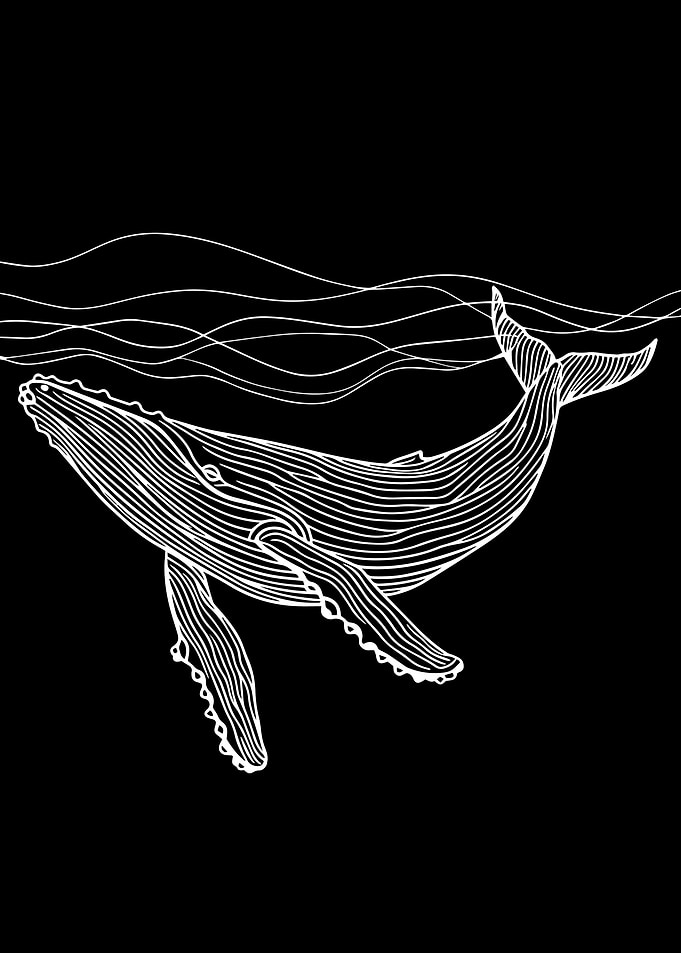 Minimal Whale