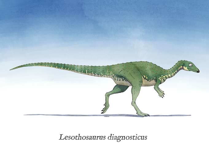 L is for Lesothosaurus