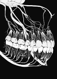 The Monochromatic Teeth