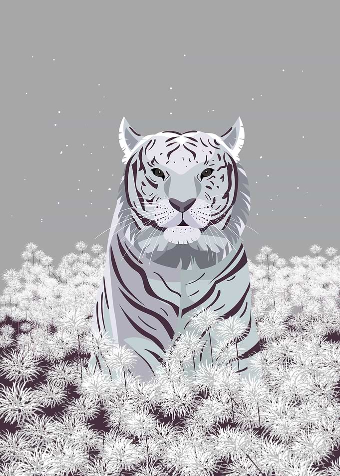 tiger roses