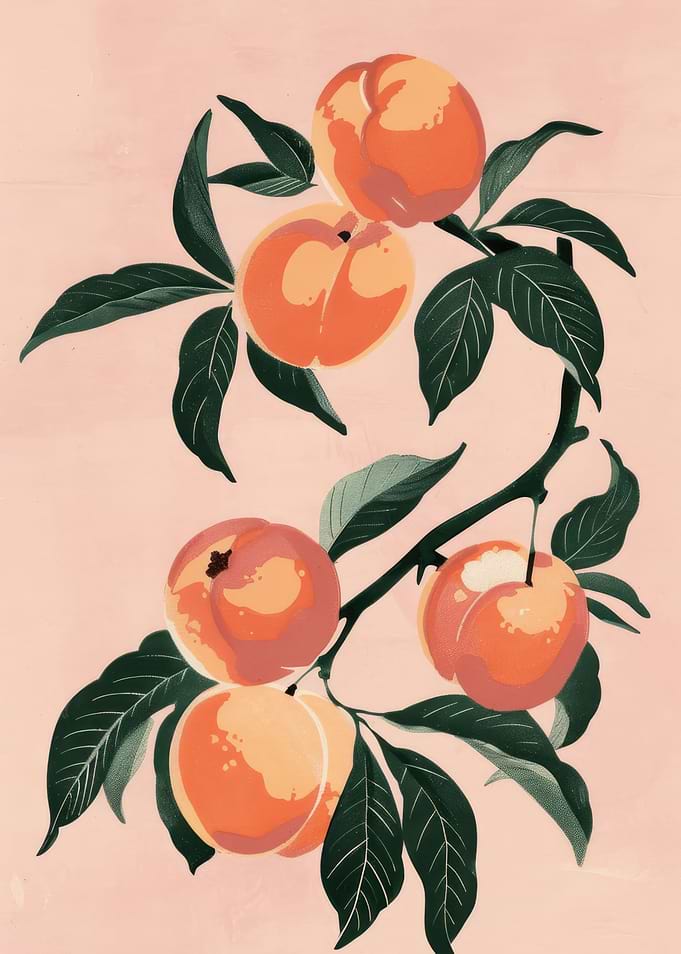 Watercolor Peaches on Pink