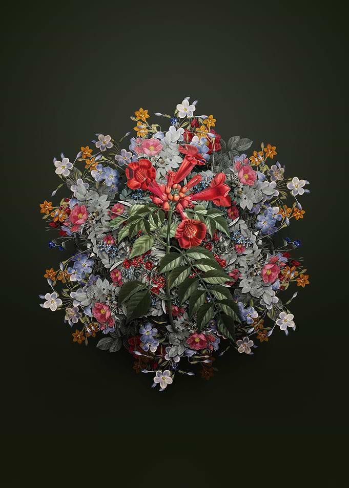 Trumpet Vine Wreath