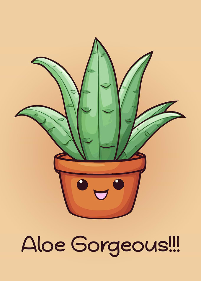 Aloe Gorgeous Aloe Vera