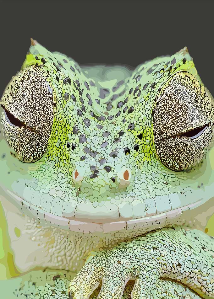 Frog Meme