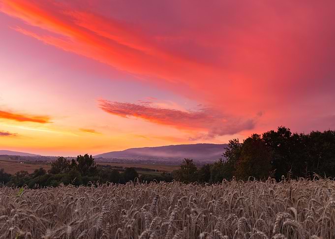 Colorful summer sunset