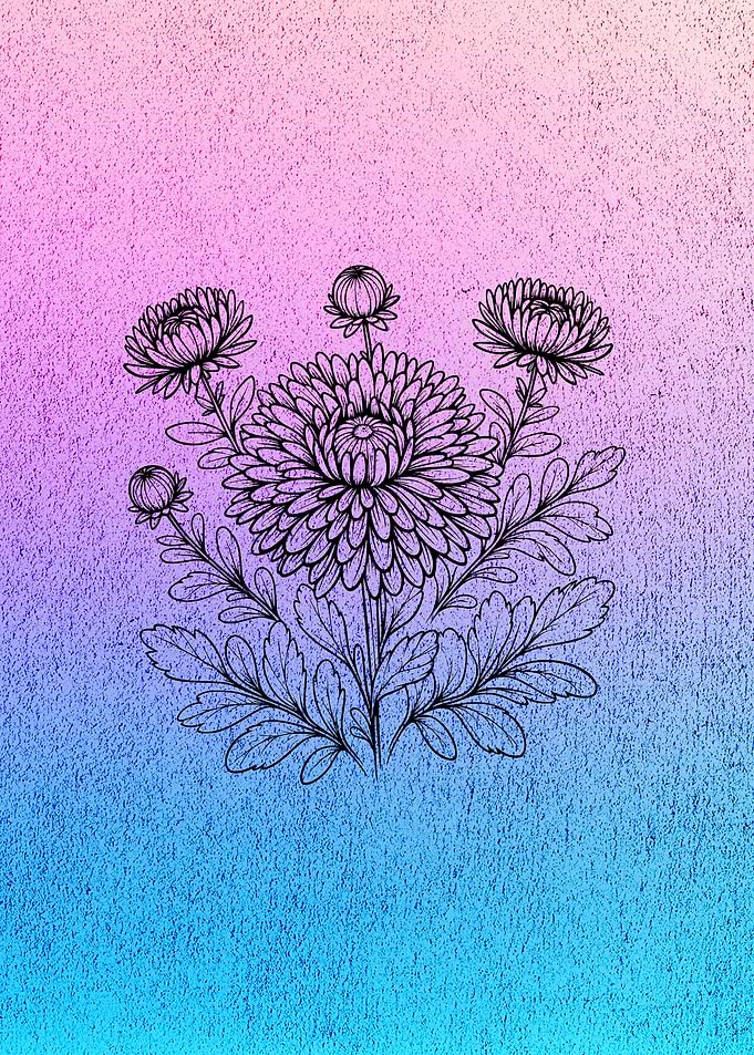 Chrysantheme Line Art BP