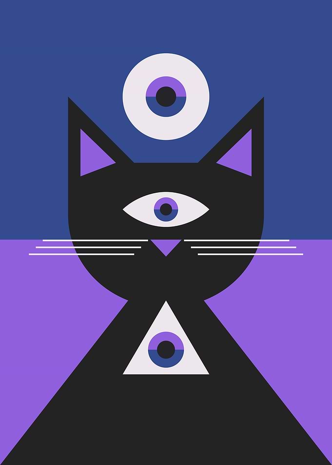 Cat with one eye