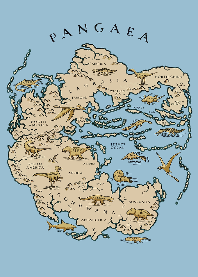 Maps of pangea