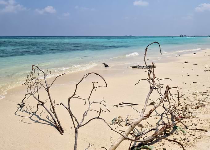 Paradise Maldives