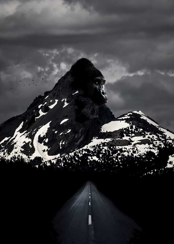 Ape Mountain Drive
